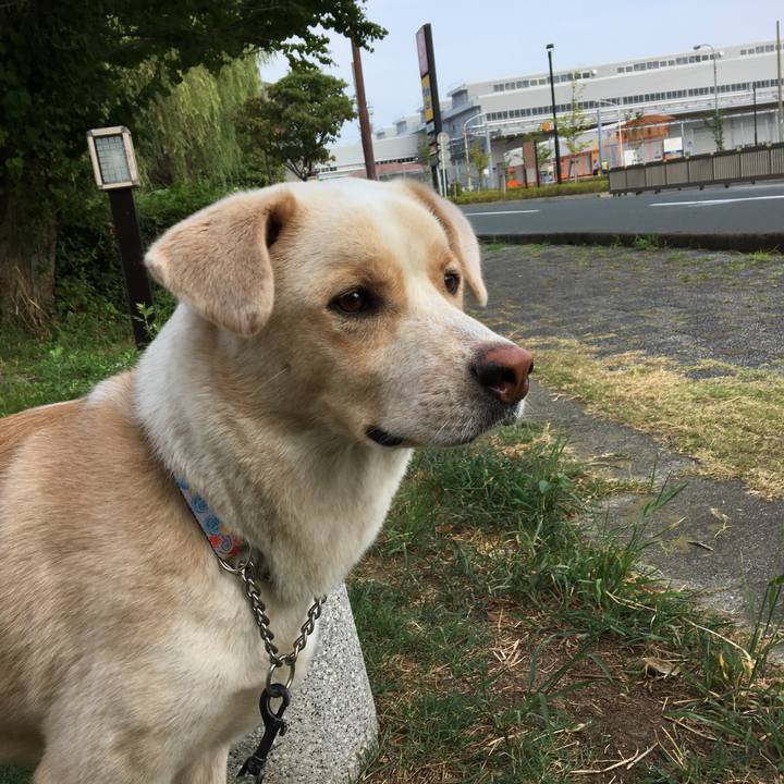 826d6202 2781 43a1 8bd5 76702e31ba1f