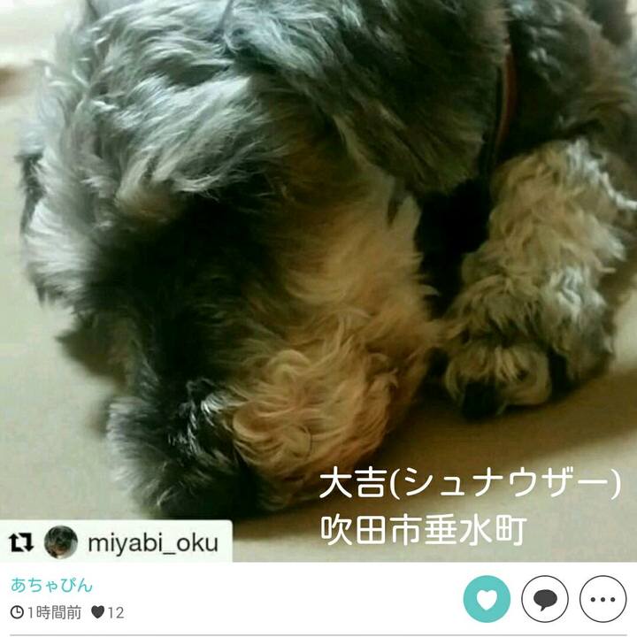 826d8ae8 f239 49a3 80b8 90f45402e7ea