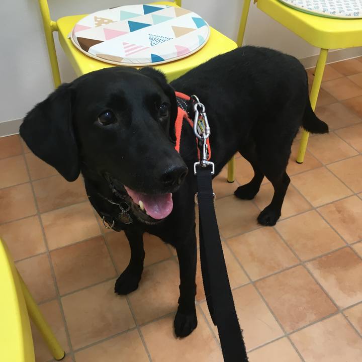 826de202 ba37 4a97 b55f 00a95dcd9624