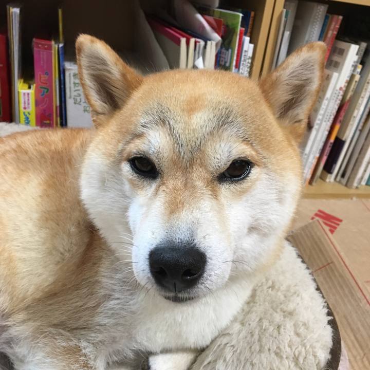 826e5525 217f 435a 97f9 7c7c6fe810e5