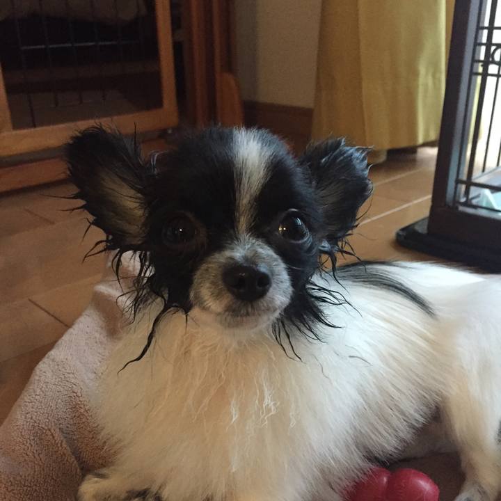 826f5a9b 54cf 4378 ba1a dd37562fca88