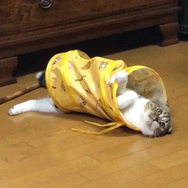 826f7dea 272b 412b 88af ed657604eba5