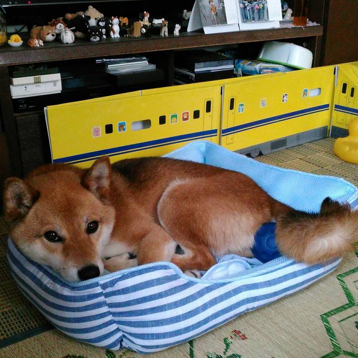 826fef70 b366 4d56 a219 77cbfc9adadc