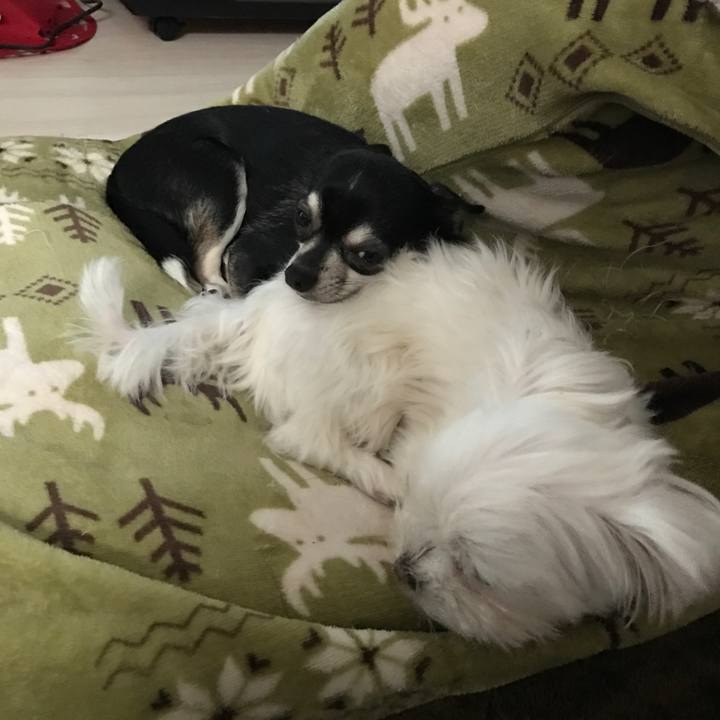 82704eea 87ed 4a72 8058 a65191935d93