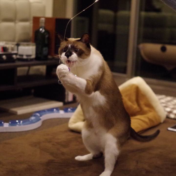 827058c4 5d0e 4a90 981b 17669f873cc3