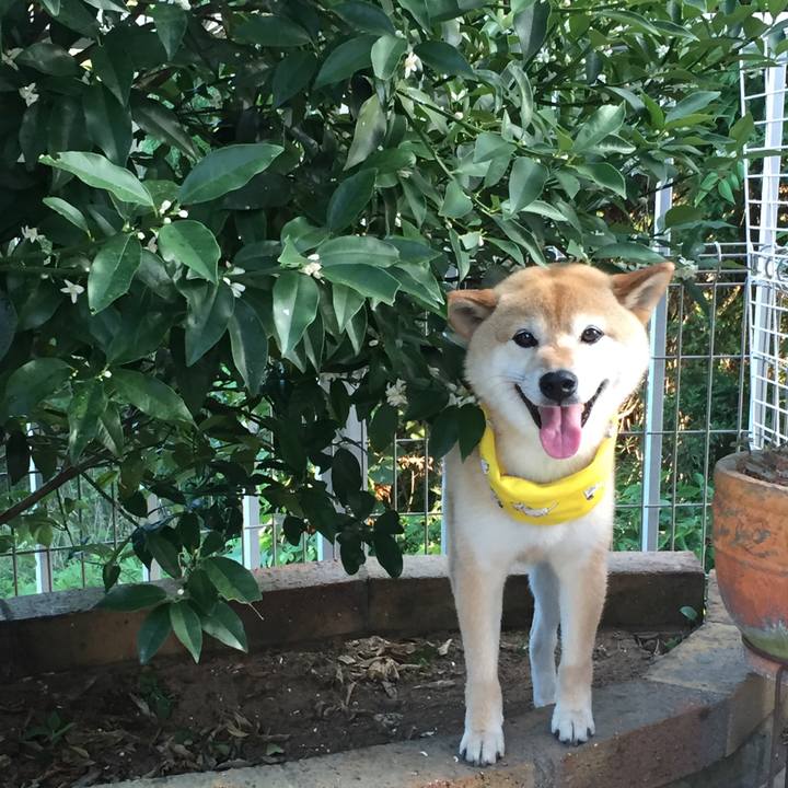 827125b5 30cb 4b31 b128 ae55252c3640