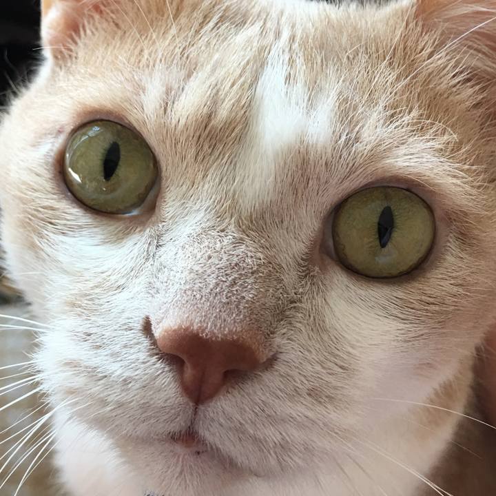 82713a2b 3b1f 4891 8d30 49d64cad4589