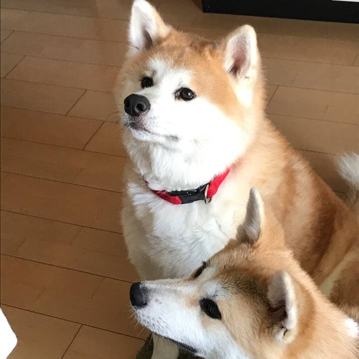 8271422d 311a 4545 8cf0 720574a044fd