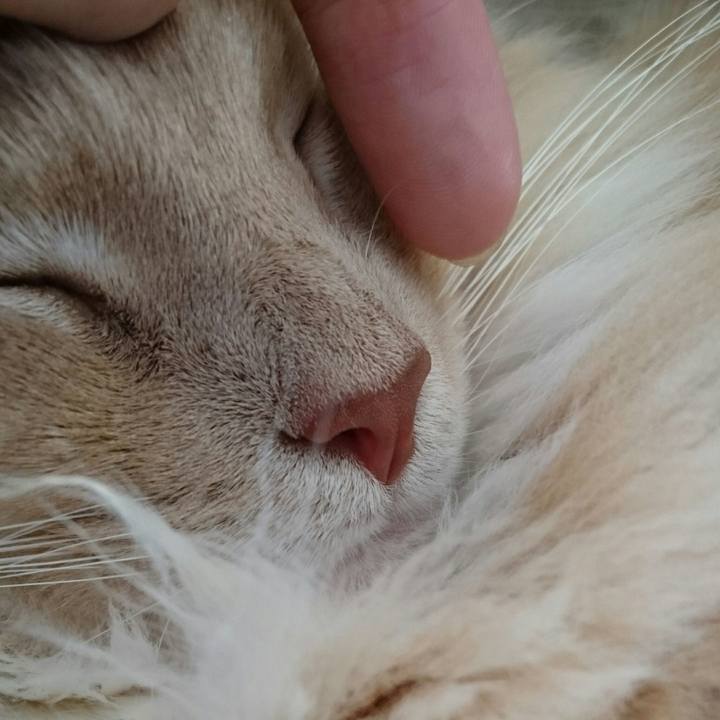 82726900 37f6 4d60 a643 af735c8467dd