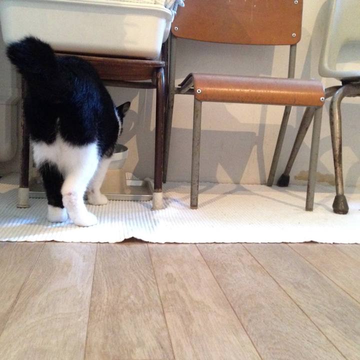 8272a6c6 e3bf 462f 903d 2b4414d619de