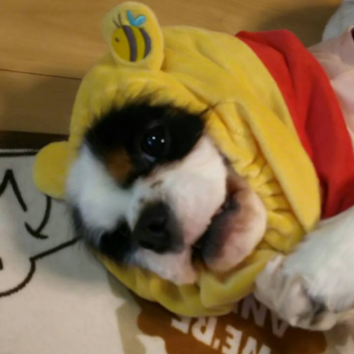 8273a936 6fb8 4afb 9dbc 53e9a209e856