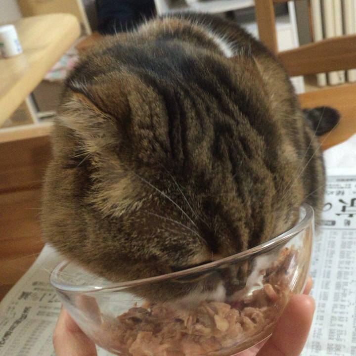 8274cf0d 3284 4133 b66a 0409a942ac11