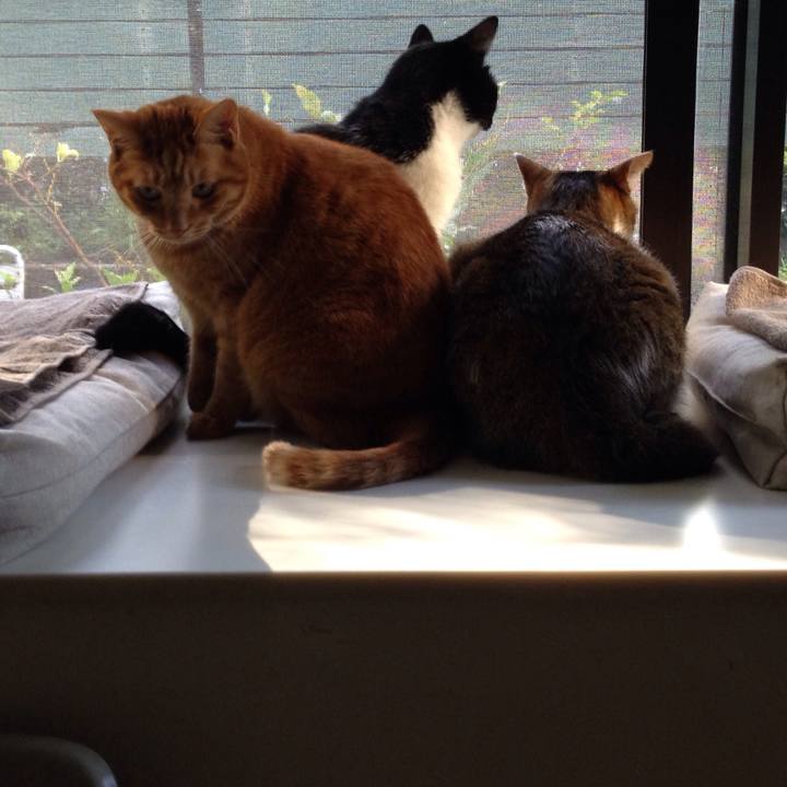 8274dc48 9233 40fb aa24 a7499d66b6cc