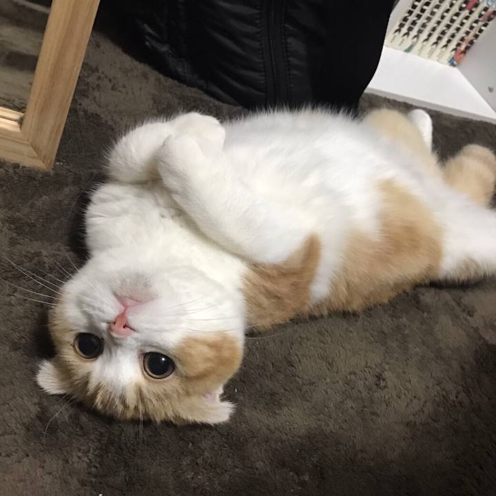 8274f2e5 f3f2 46a0 8cd0 489b47a35f70