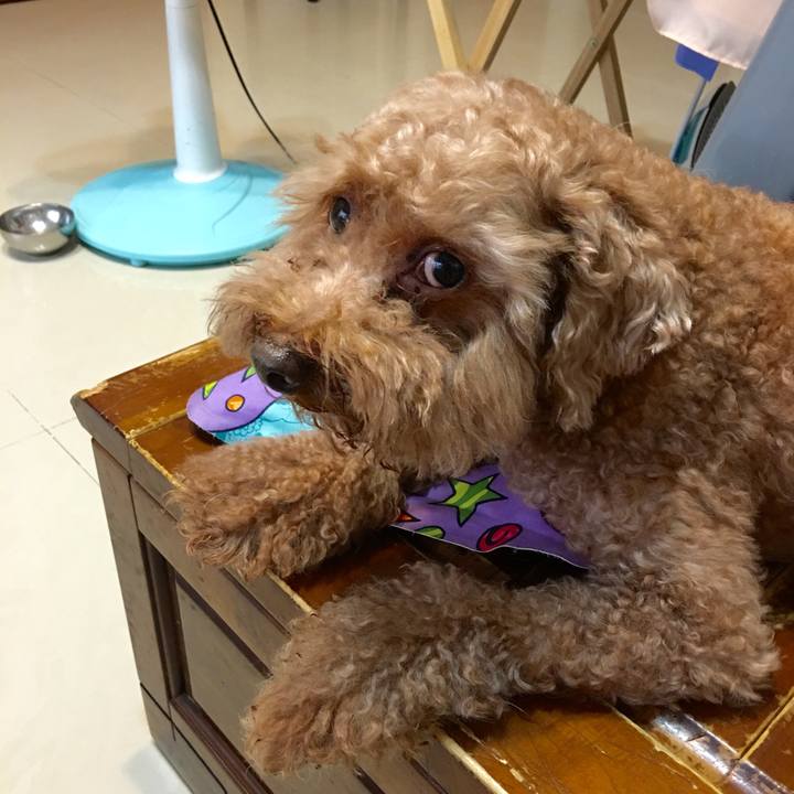 82751edc 1a51 4aa5 a9a3 5335f537f76c