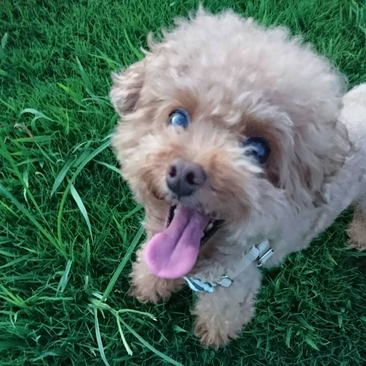 82759087 befc 420a b8b9 cf543edaa093