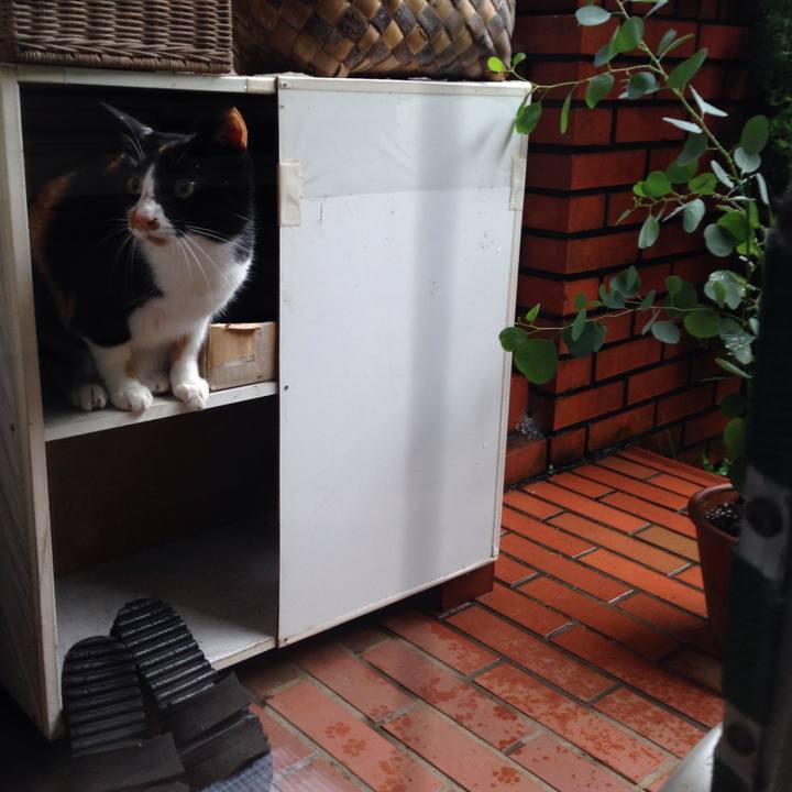 8275a671 105d 4dfb a0bd 8e421db3b640