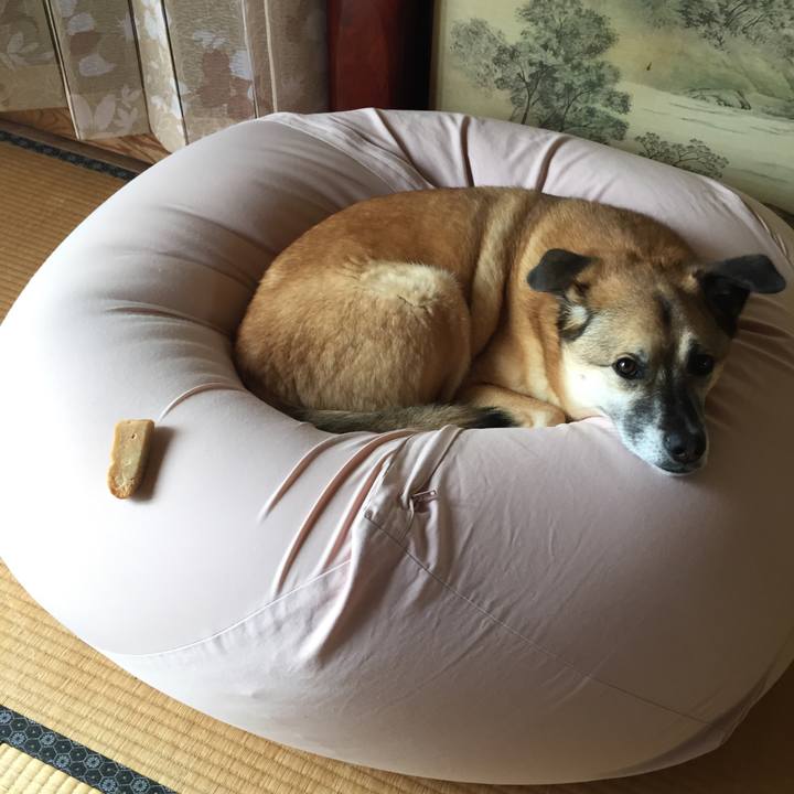 82762322 cdb7 4fbd b11f 7386a95d31d4