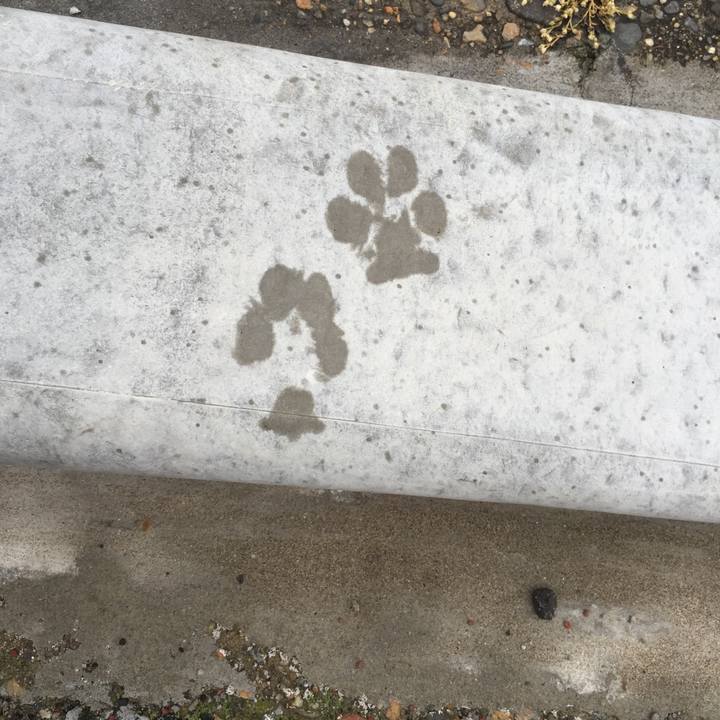 8276246e 1ea2 427d 86e4 a0029f008b79