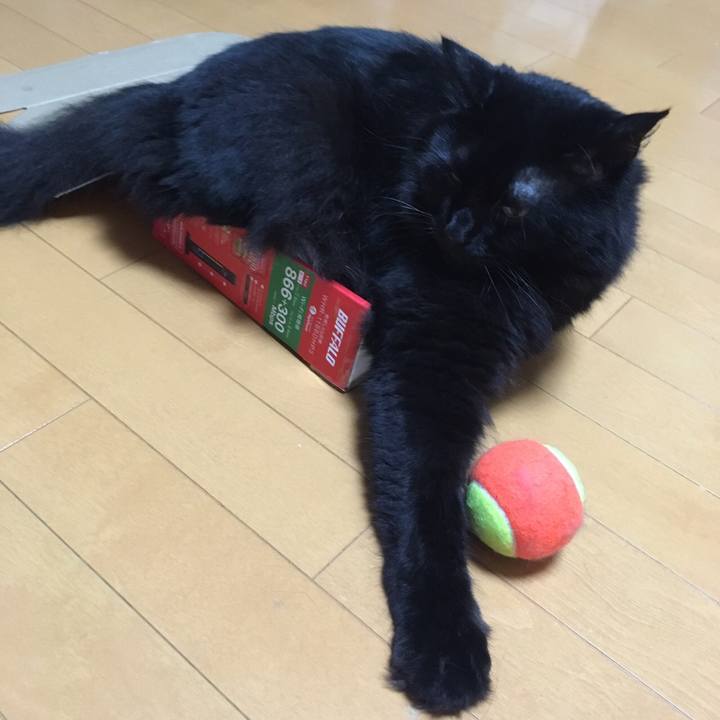 82763f0b 0f24 4308 8bd8 163e152f0681