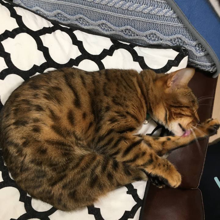 82774706 717a 4b19 b970 1153a285c59d