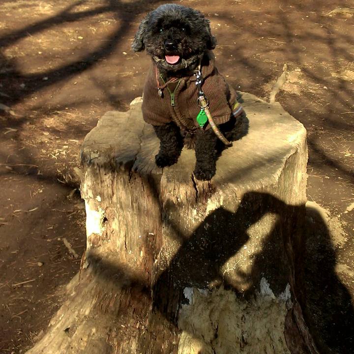 827764cc 5eb9 45cb b14a a49573e2c2ff