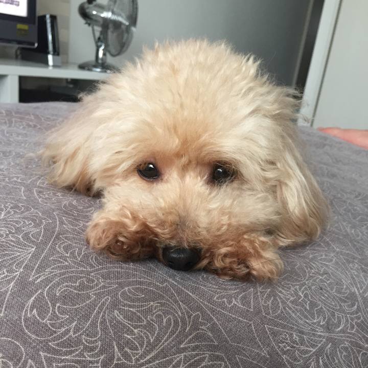 8277a25c 4bf7 400f b735 2c246688cd70