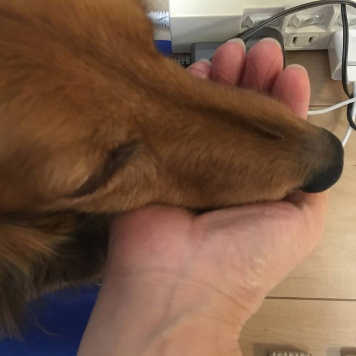 82786afa 4a44 49a0 9b66 f9922add023e