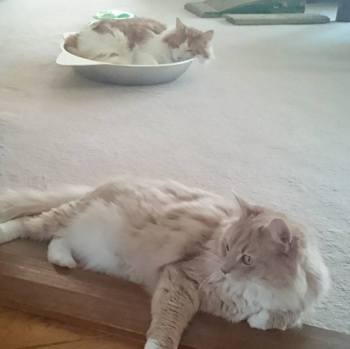 82786dc5 f8d3 4da2 bdc9 464b9d44f594