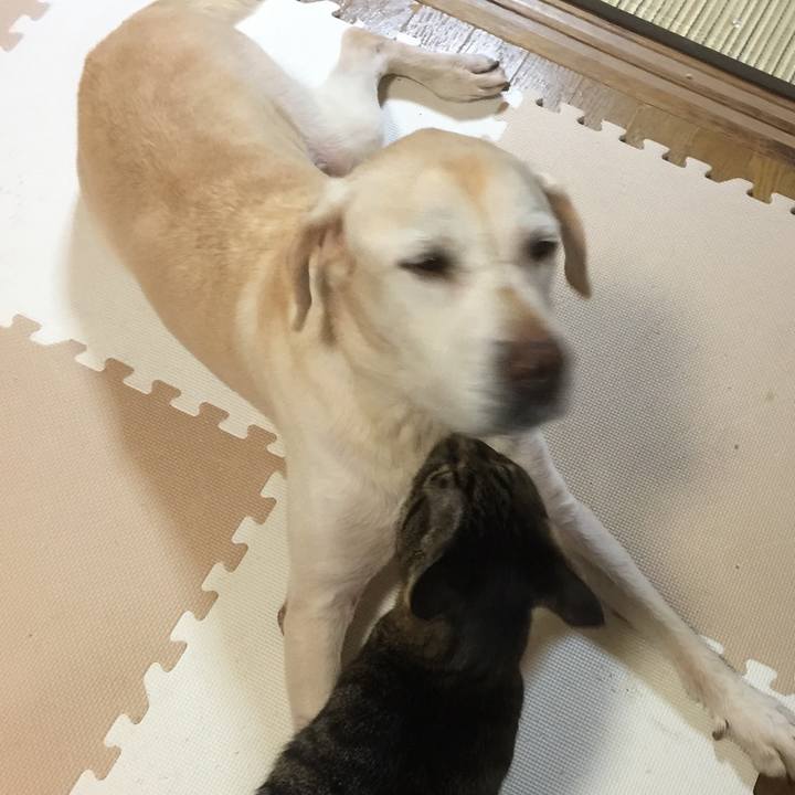 8278ff70 f1b8 4549 b304 9c6c5033acac