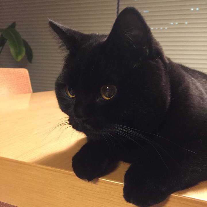 827a3a8f 77be 4afe aa9f d42160749f1b