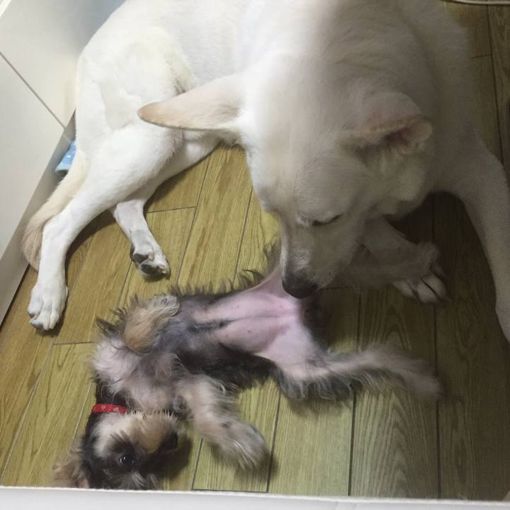 827a3b62 3eb4 438f 84bc 9b821e601890