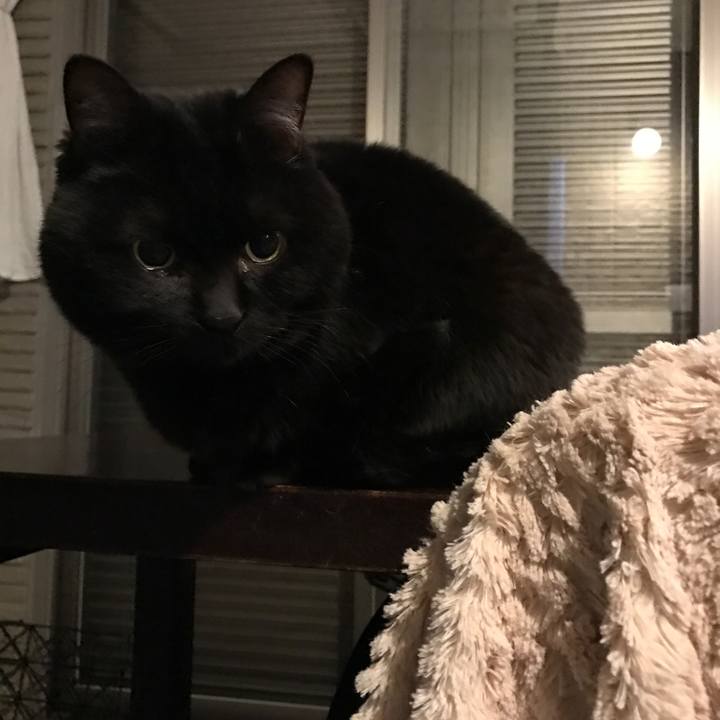 827ab70e 1a9d 49a9 9739 fd0ced4d4305