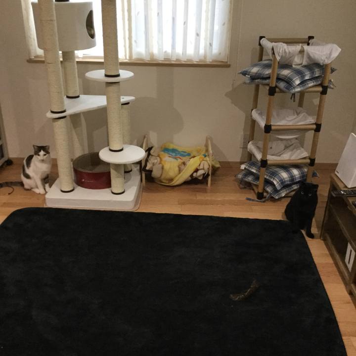 827b8448 e5d0 49fd 98a5 87b6c5c2a47a