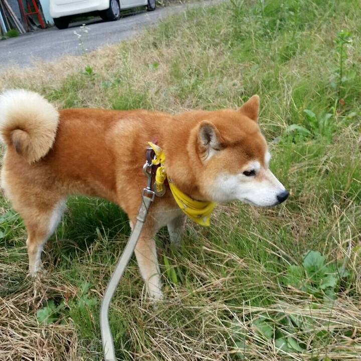 827c209b f604 4b4c 9104 113671defd6a