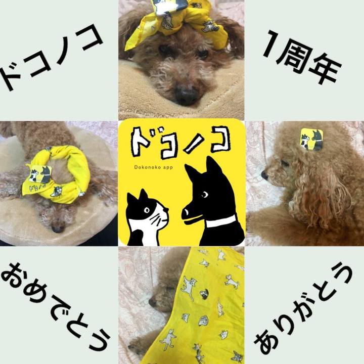 827d67c6 c803 4a7c be07 46896e8c58cc