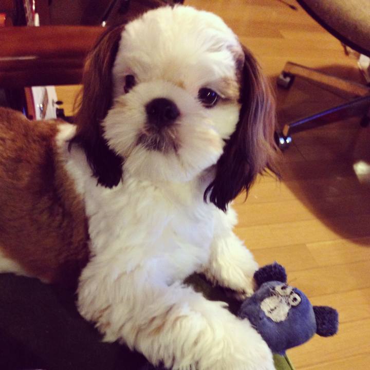 827dd7c5 5c24 4807 b6ff dc70dcb5cc03