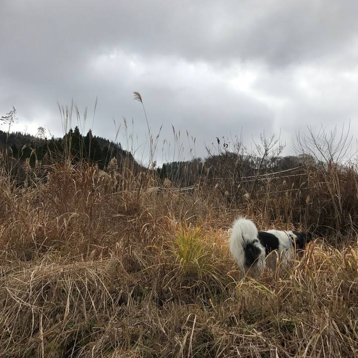 827e254d 62c4 4e32 b957 b843badd2ebd