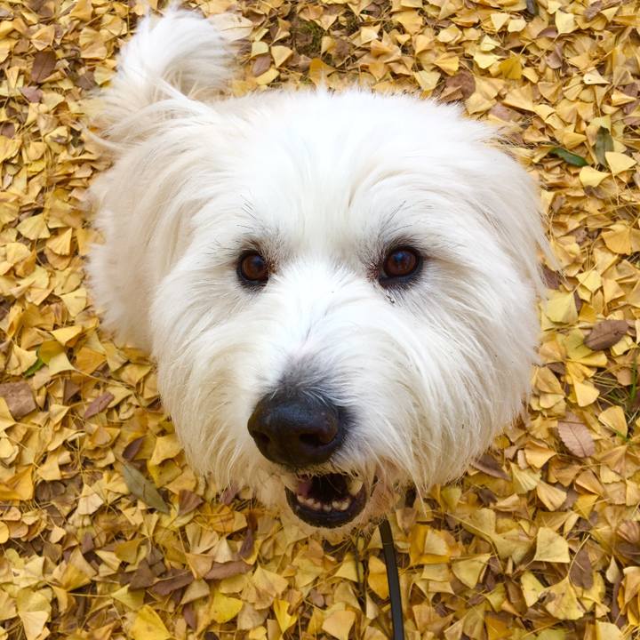 827e2f40 4ddb 45e9 8a22 ce476ded8d82