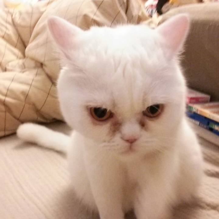 827e53a7 7ebf 46a1 baf1 2e1fe7b61f12