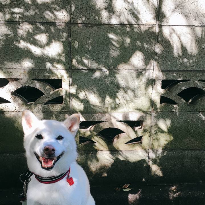 827e8945 d7aa 49c9 8600 75841e3d353b