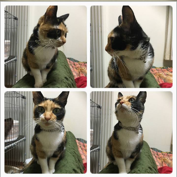 827ea9fd 8c17 4ded bcbd 7e51b424518d