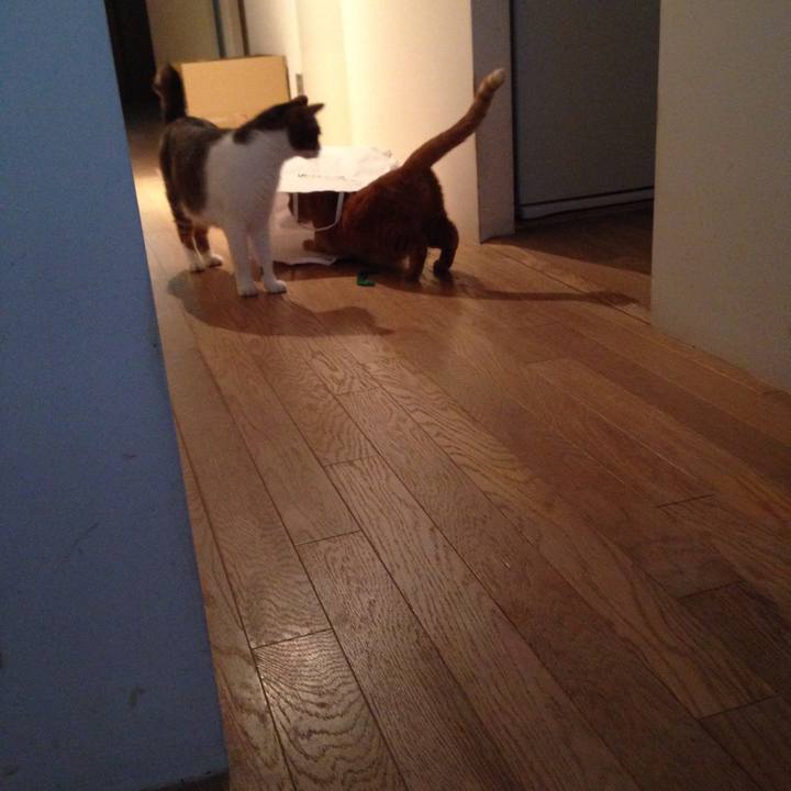 827f2395 2329 47fd b571 a2b247aa25fa