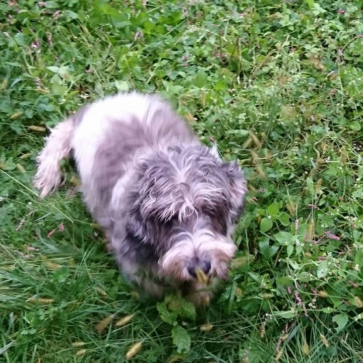 82802370 bd07 4dc7 9360 474d2238c750