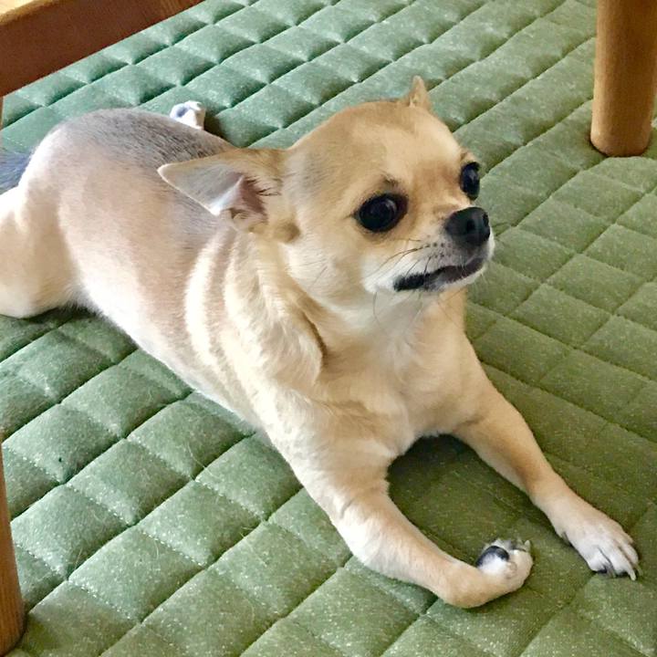 8280544e 133b 4a14 b88b a46e399a6e8b