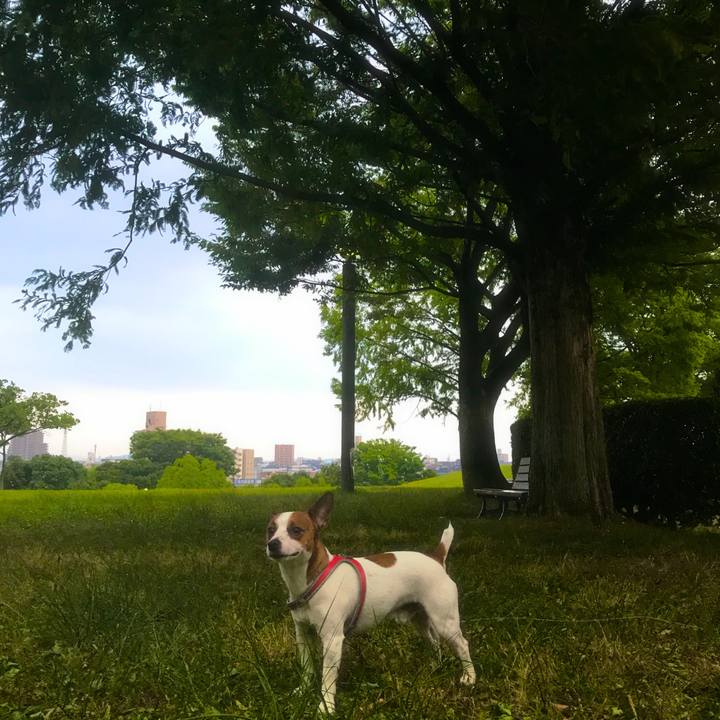 82806ee8 6323 4976 8e77 79c32209339c