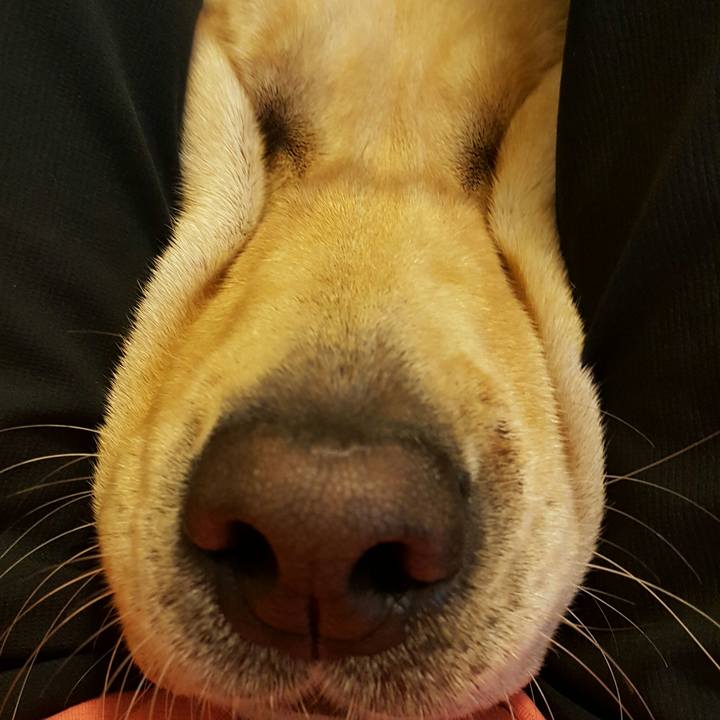 82809a29 bda6 41a2 a652 c30cf117778c