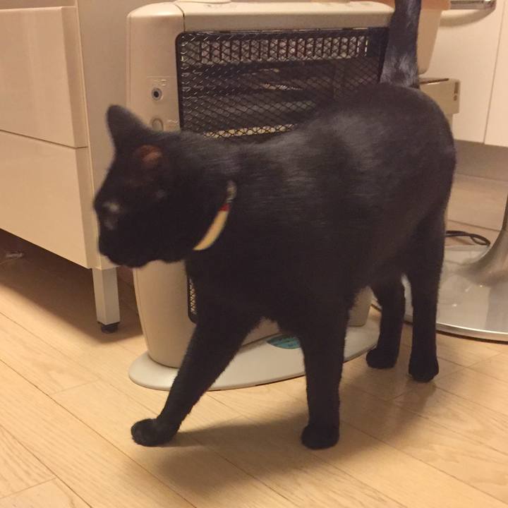 8281426c b6e7 4529 8b6b 699889a96197