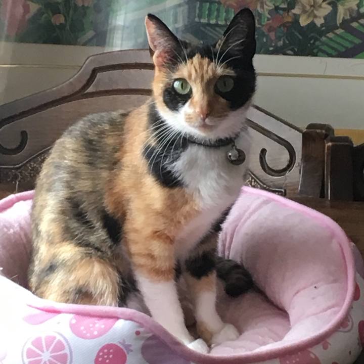 82814d4f 0c1e 4382 800d 957a9f79bd03