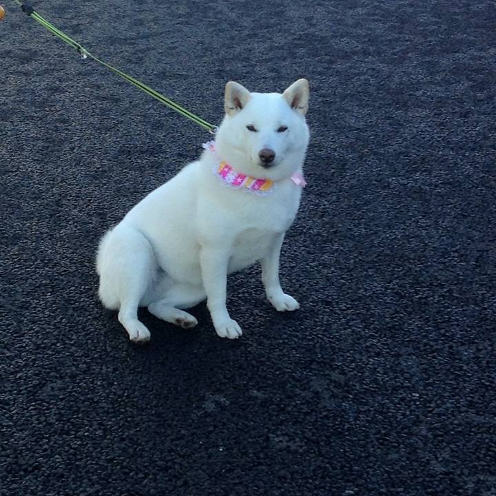 82820d0e 865d 478f aa49 bf1848670497